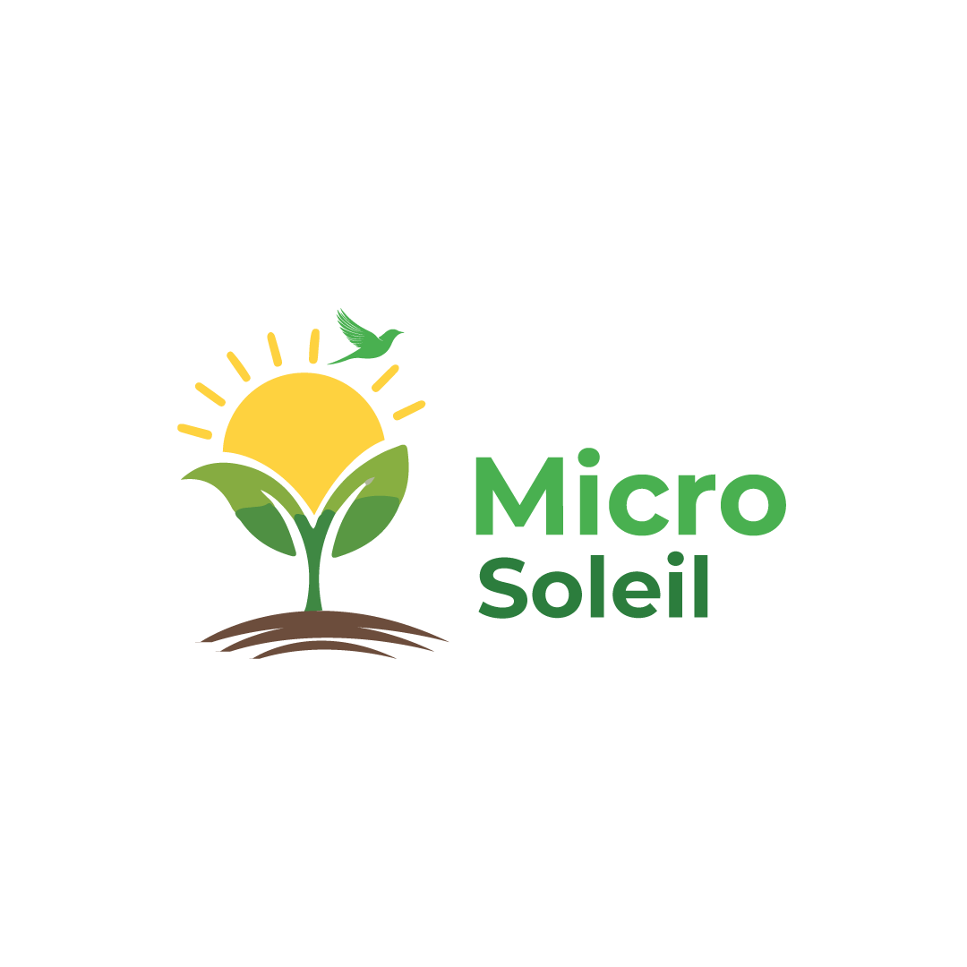 MicroSoleil
